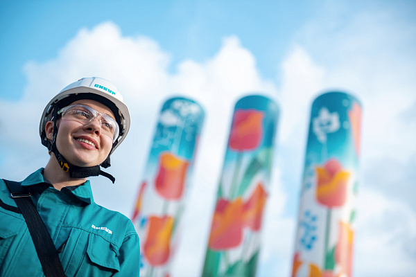 Тюльпаны в ночном небе